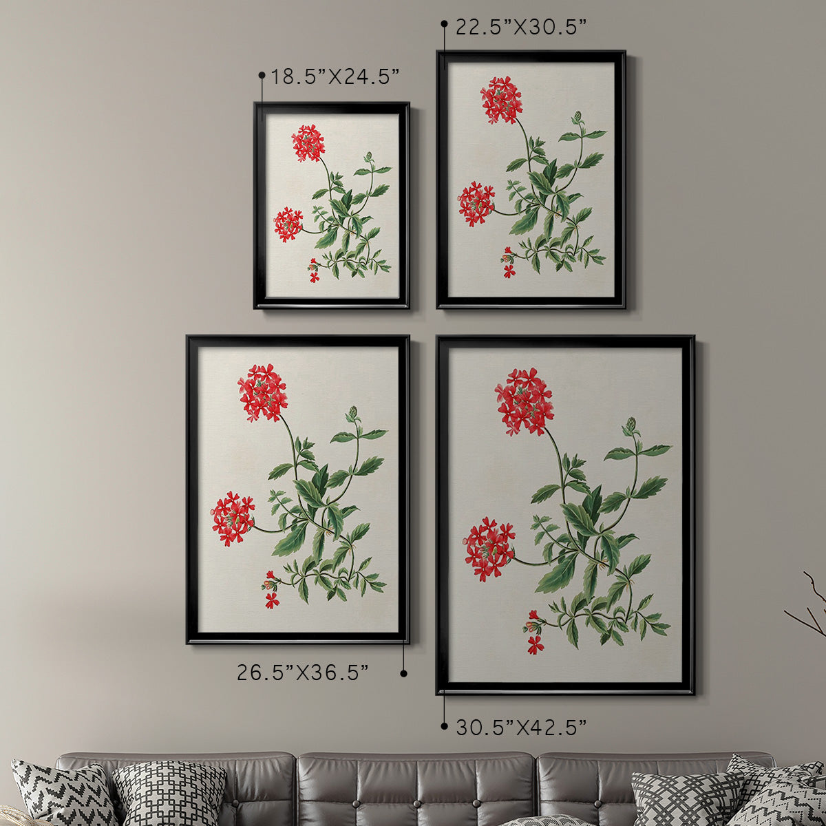 Flowers of the Seasons XI Premium Framed Print - Ready to Hang