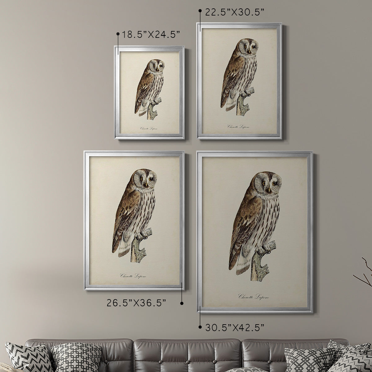 French Owls III Premium Framed Print - Ready to Hang