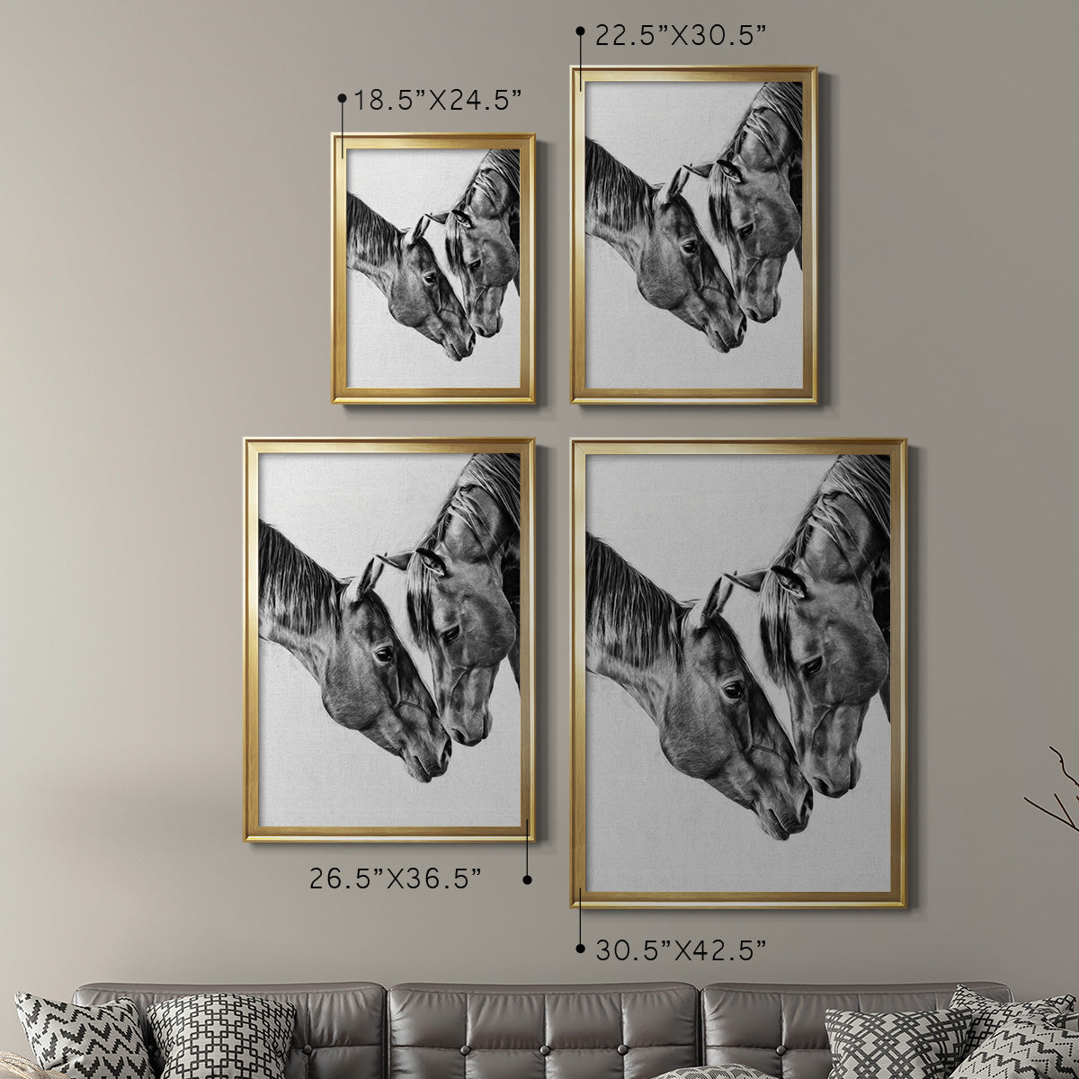 Equine Portrait VI Premium Framed Print - Ready to Hang