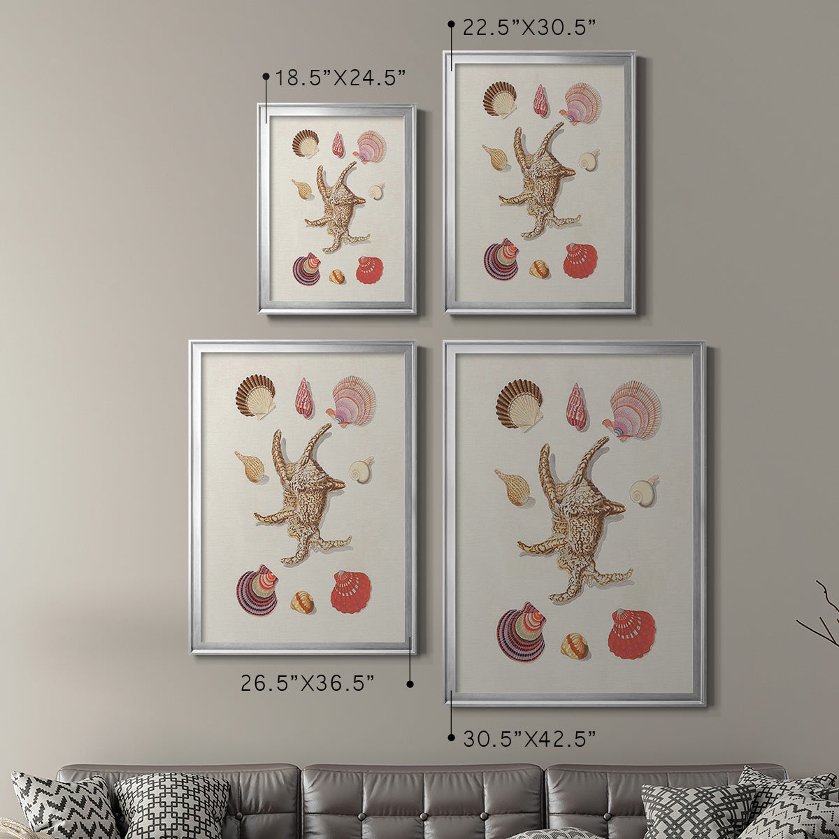 Knorr Shells & Coral II Premium Framed Print - Ready to Hang