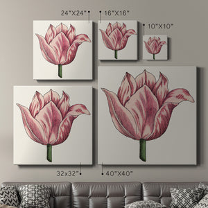 Tulip Garden VII-Premium Gallery Wrapped Canvas - Ready to Hang