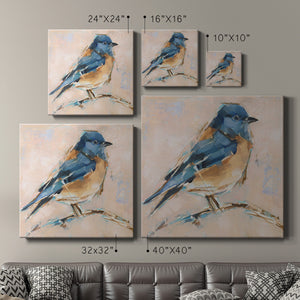 Bird Variety III-Premium Gallery Wrapped Canvas - Ready to Hang
