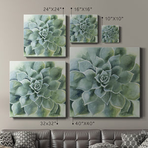 Verdant Succulent II-Premium Gallery Wrapped Canvas - Ready to Hang