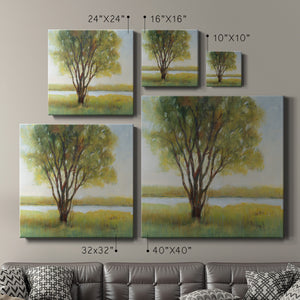 Shade Tree I-Premium Gallery Wrapped Canvas - Ready to Hang