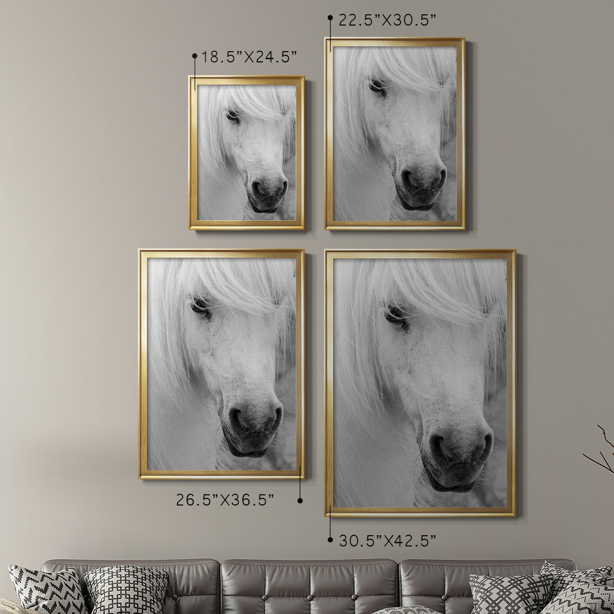 Island Pony I Premium Framed Print - Ready to Hang