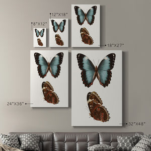 Antique Blue Butterflies IV Premium Gallery Wrapped Canvas - Ready to Hang