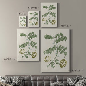 Buchoz Tropicals II Premium Gallery Wrapped Canvas - Ready to Hang