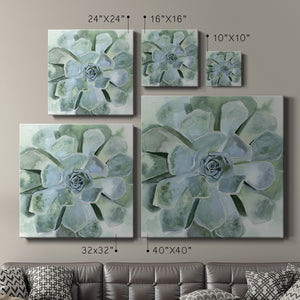 Verdant Succulent III-Premium Gallery Wrapped Canvas - Ready to Hang