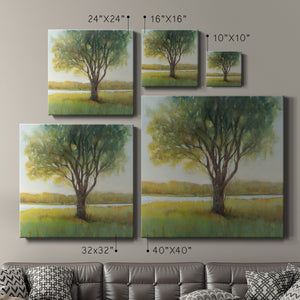 Shade Tree II-Premium Gallery Wrapped Canvas - Ready to Hang
