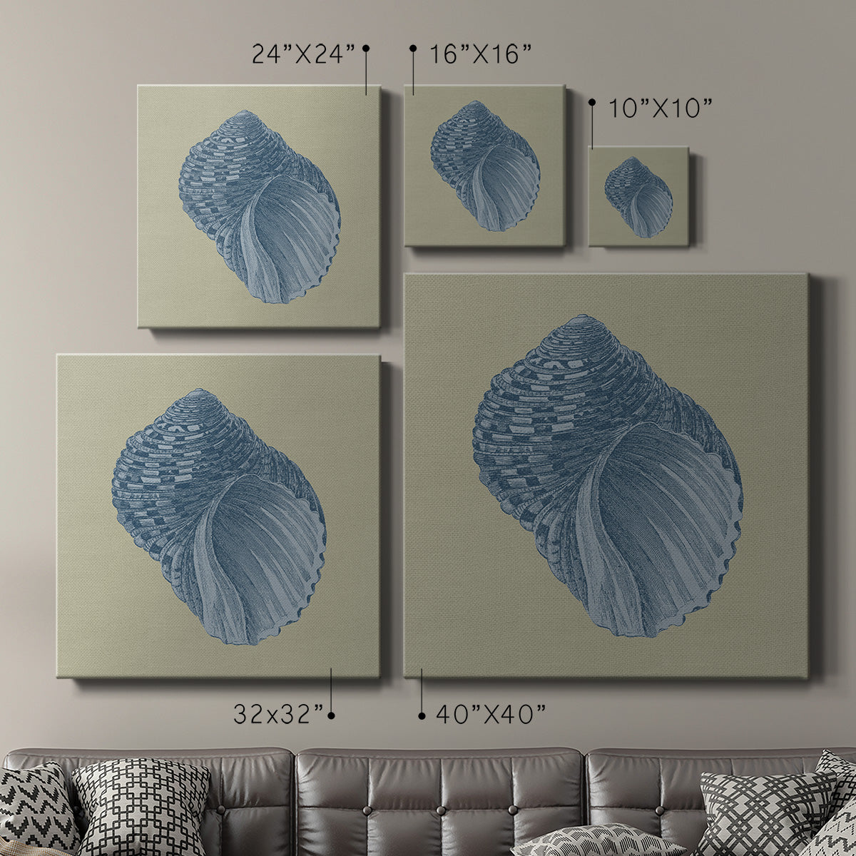 Chambray Shells III-Premium Gallery Wrapped Canvas - Ready to Hang