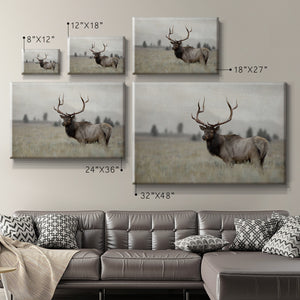 Grand Elk Premium Gallery Wrapped Canvas - Ready to Hang