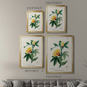 Turpin Tropical Botanicals VI Premium Framed Print - Ready to Hang