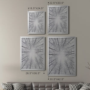 Deciduous Canopy II Premium Framed Print - Ready to Hang