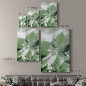 Fields of Green I - Canvas Art Print
