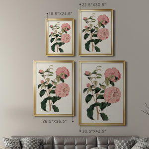 Pink Floral Mix IV Premium Framed Print - Ready to Hang