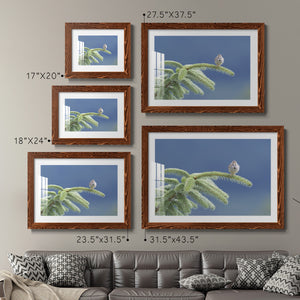 Evergreen Perch-Premium Framed Print - Ready to Hang