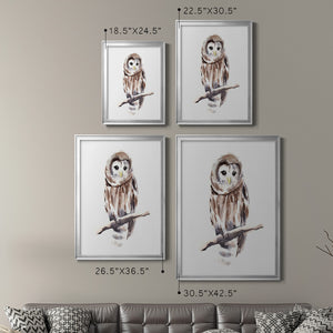 Barred Owl Impressions I Premium Framed Print - Ready to Hang