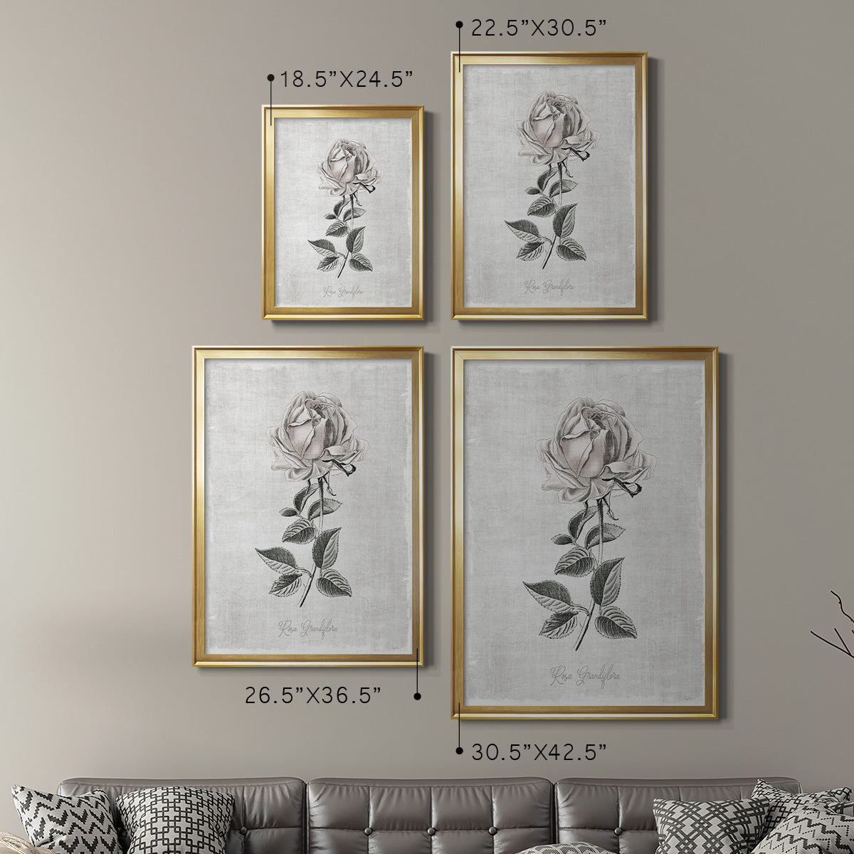 Vintage Botanical II Premium Framed Print - Ready to Hang