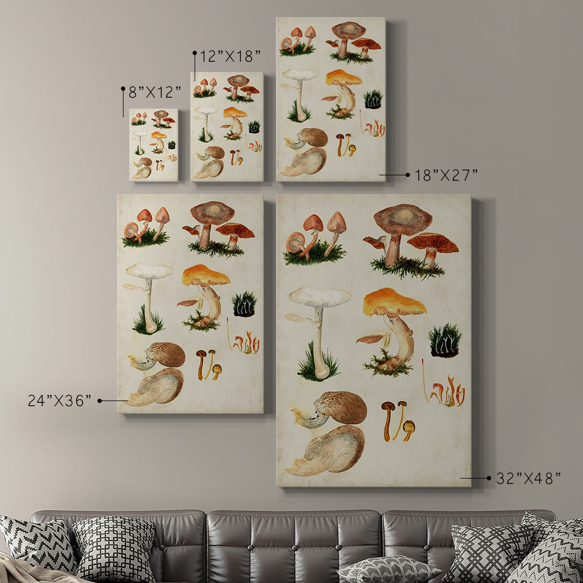 Mushroom Species IV Premium Gallery Wrapped Canvas - Ready to Hang