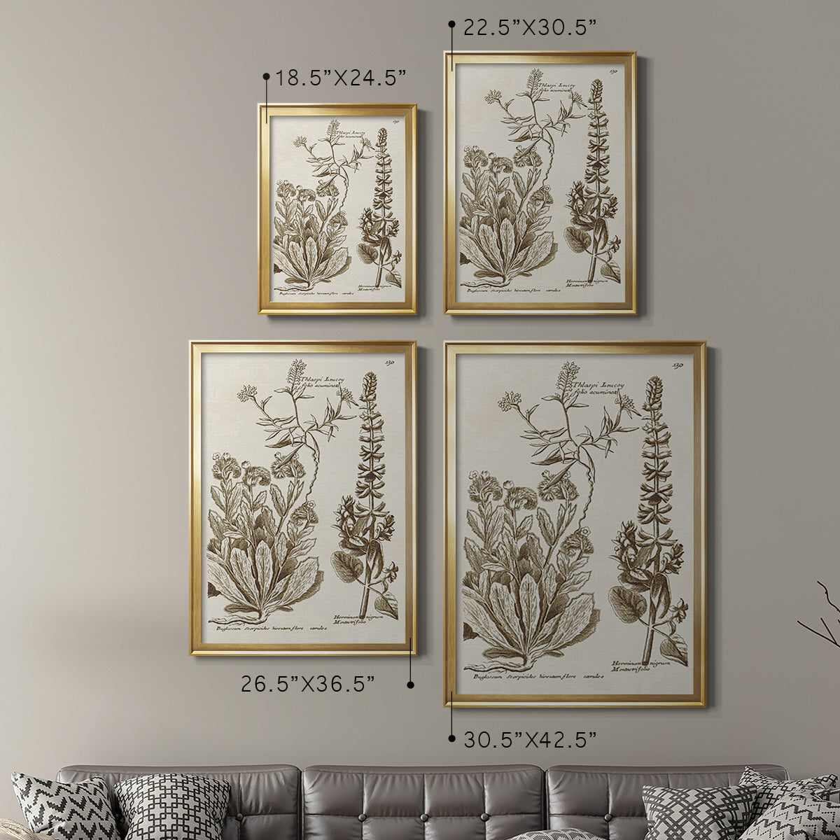 Sepia Botanical Journal IV Premium Framed Print - Ready to Hang