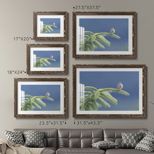 Evergreen Perch-Premium Framed Print - Ready to Hang