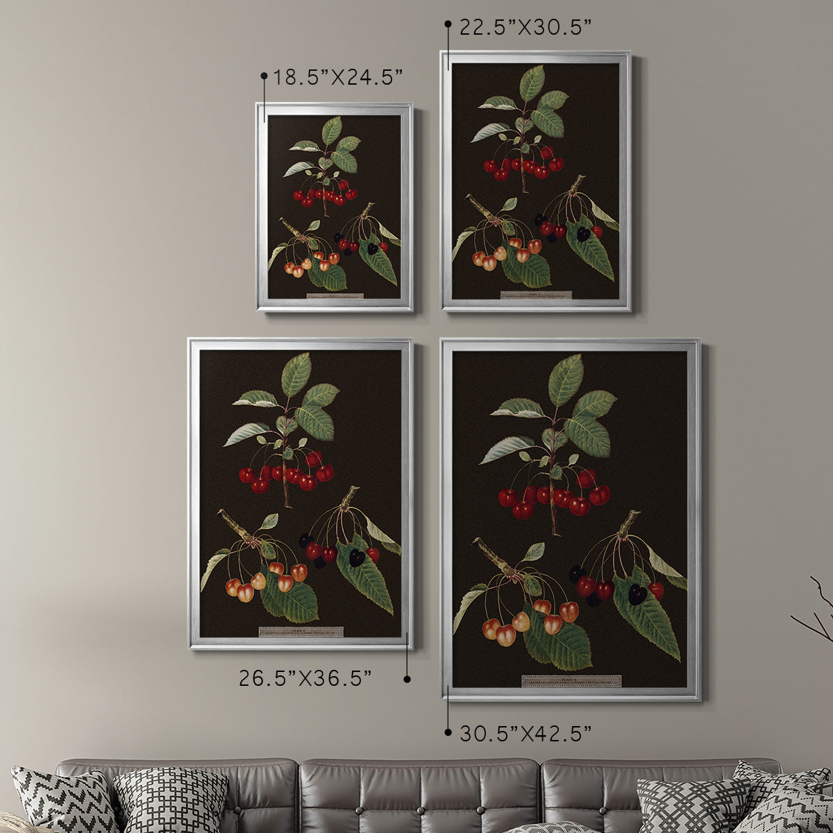 Brookshaw Cherries Premium Framed Print - Ready to Hang