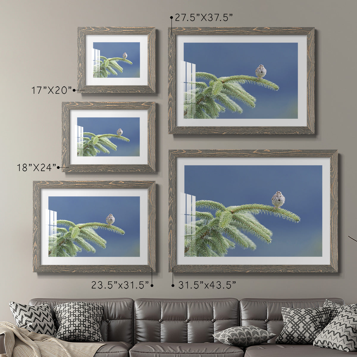 Evergreen Perch-Premium Framed Print - Ready to Hang