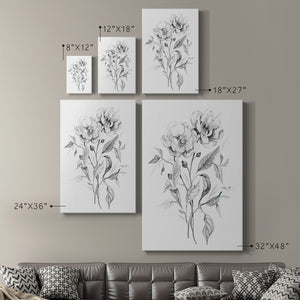 Wild Roses Sketch Premium Gallery Wrapped Canvas - Ready to Hang