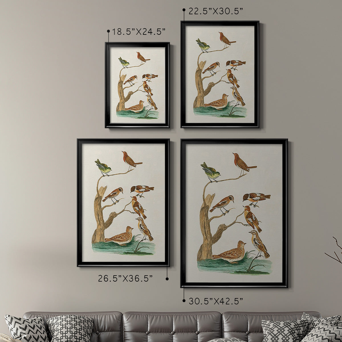 Antique Birds in Nature III Premium Framed Print - Ready to Hang