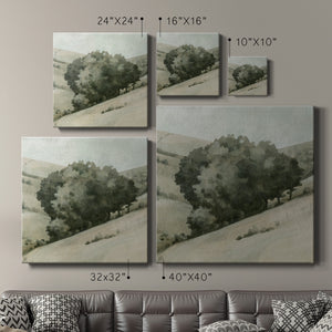 Rolling Grove II-Premium Gallery Wrapped Canvas - Ready to Hang