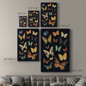 Collected Flutter III Premium Gallery Wrapped Canvas - Ready to Hang