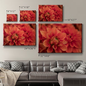 Spring Fire Premium Gallery Wrapped Canvas - Ready to Hang