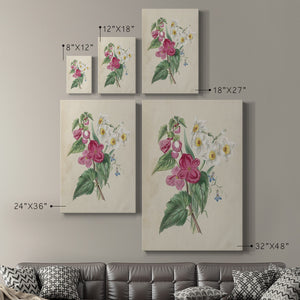Antique Garden Bouquet IV Premium Gallery Wrapped Canvas - Ready to Hang