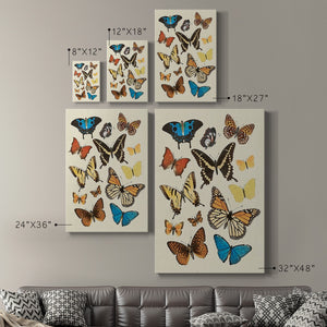 Collected Flutter II - Canvas Art Print