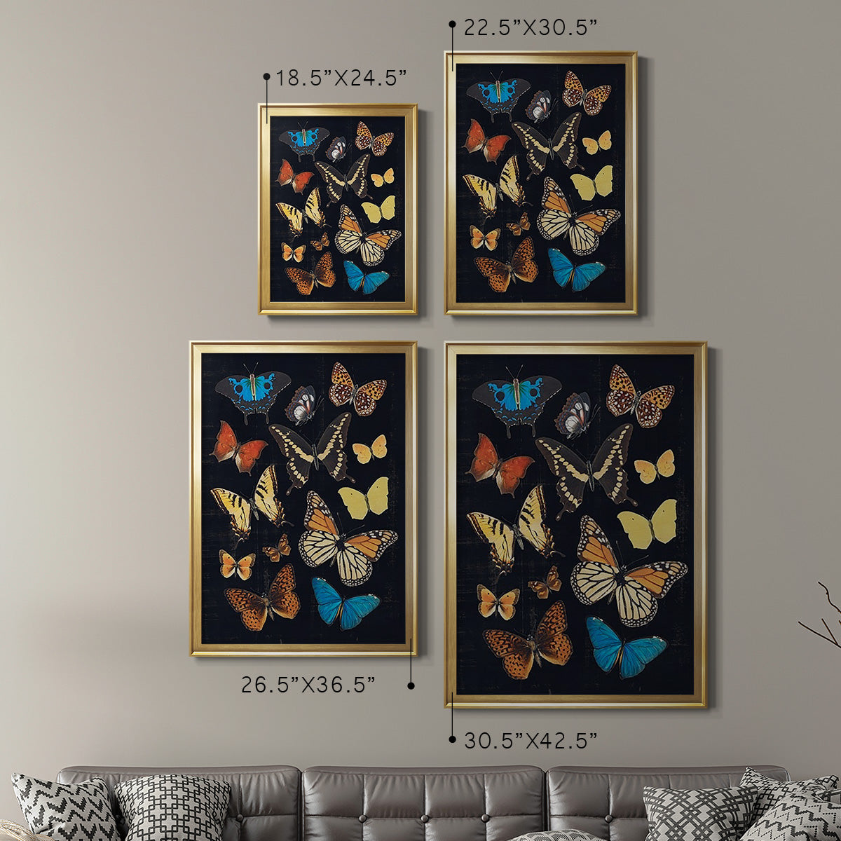 Collected Flutter IV Premium Framed Print - Ready to Hang
