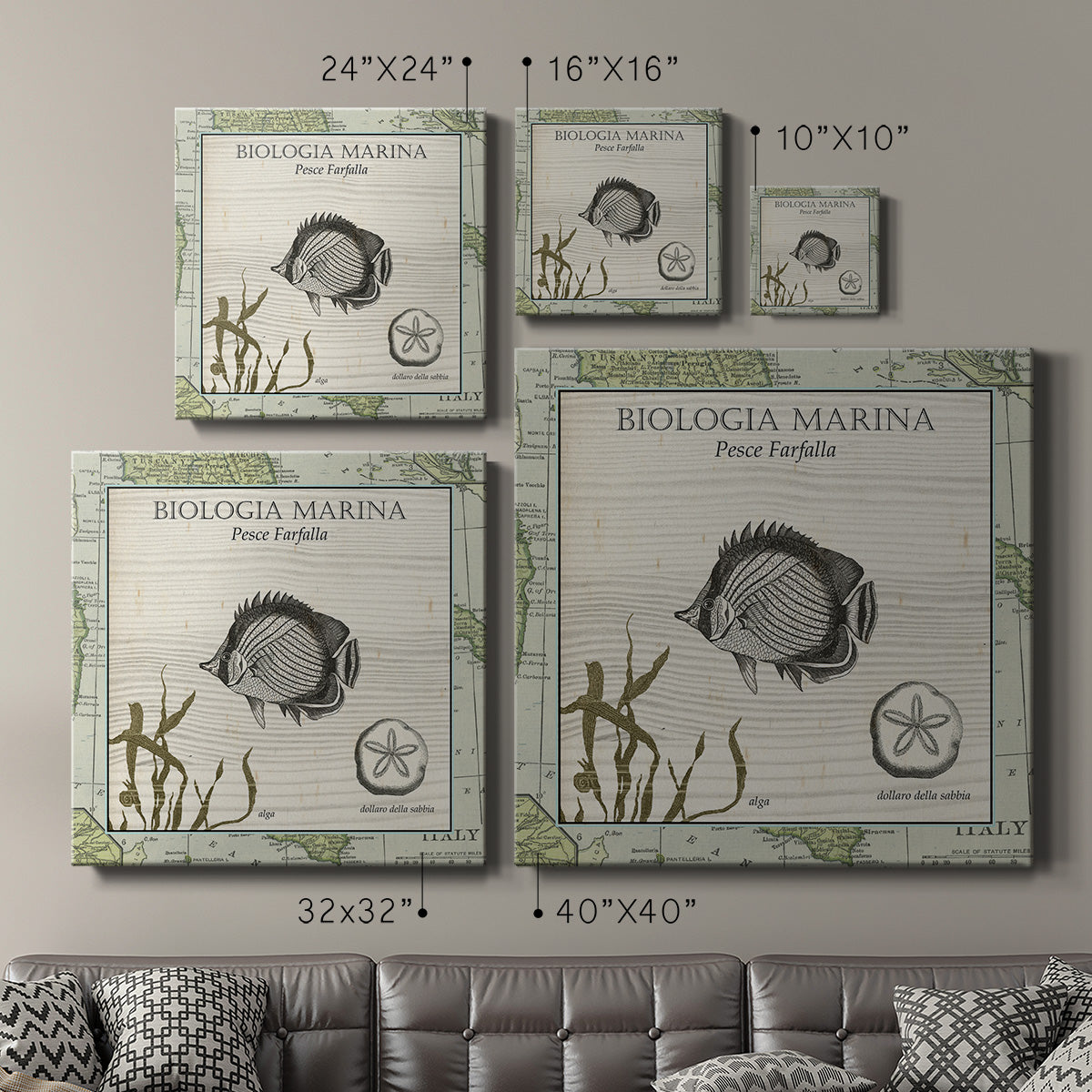 Biologia Marina I-Premium Gallery Wrapped Canvas - Ready to Hang