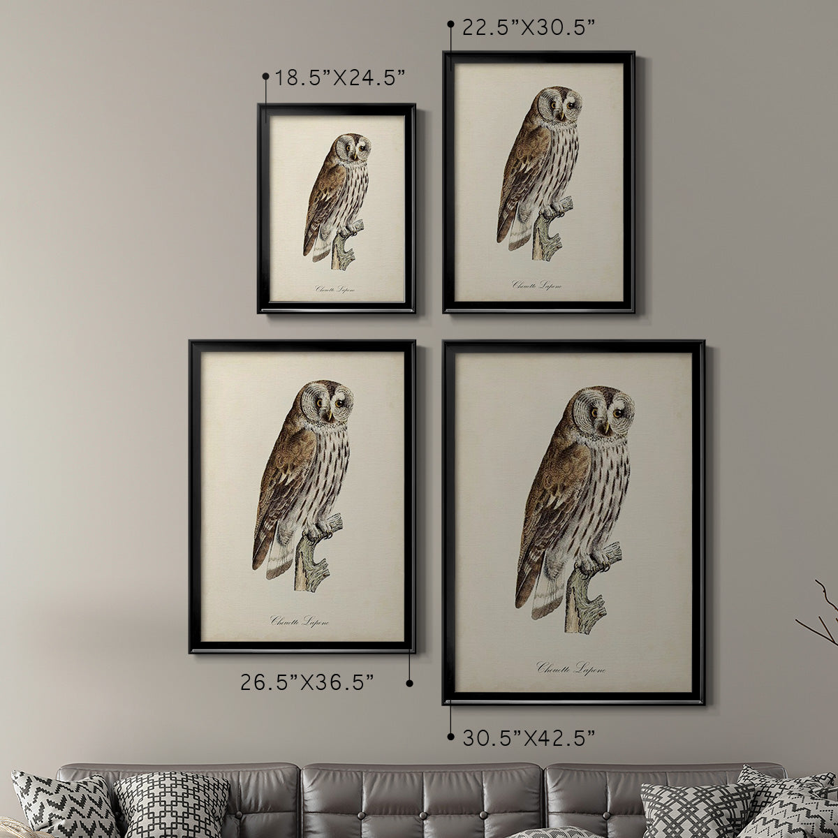 French Owls III Premium Framed Print - Ready to Hang