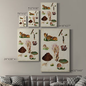 Mushroom Species IX Premium Gallery Wrapped Canvas - Ready to Hang