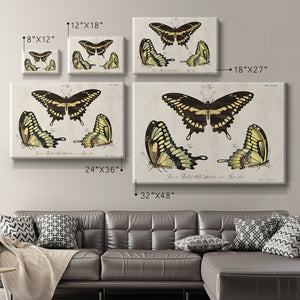 Crackled Butterflies I Premium Gallery Wrapped Canvas - Ready to Hang