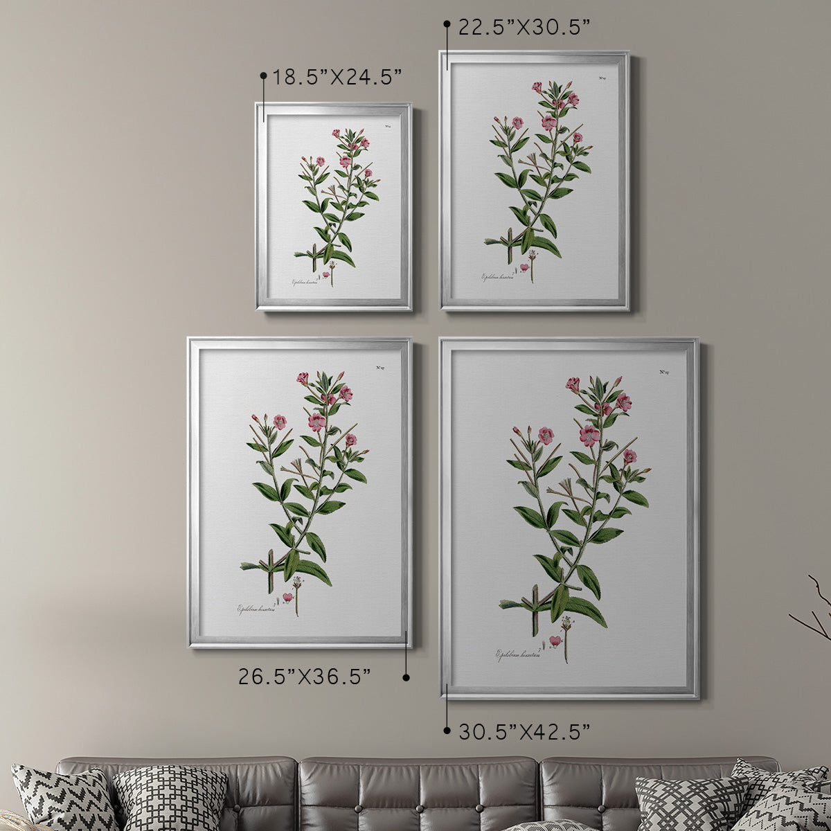 Rose Botanical III Premium Framed Print - Ready to Hang