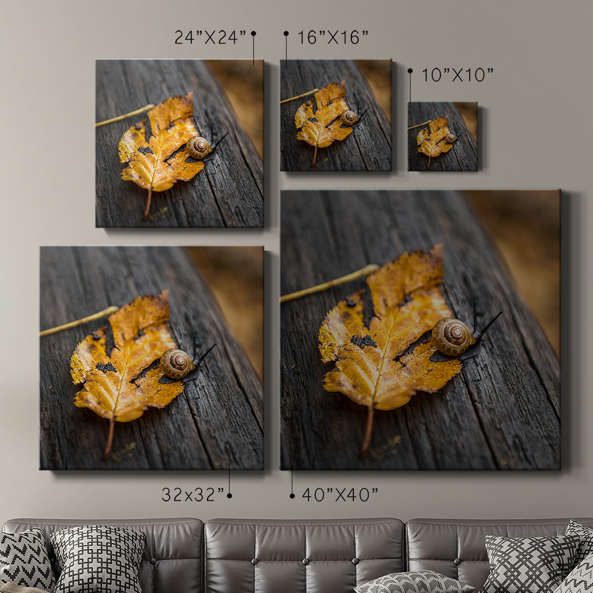 Snail's Pace-Premium Gallery Wrapped Canvas - Ready to Hang