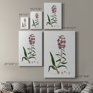 Rose Botanical I Premium Gallery Wrapped Canvas - Ready to Hang