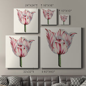 Tulip Garden I-Premium Gallery Wrapped Canvas - Ready to Hang