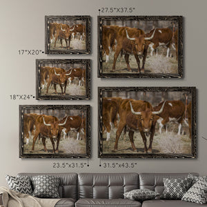 Longhorns-Premium Framed Canvas - Ready to Hang