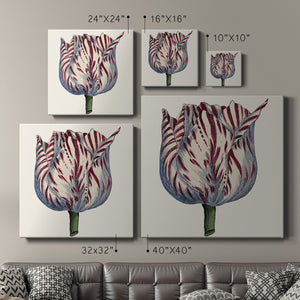 Tulip Garden VI-Premium Gallery Wrapped Canvas - Ready to Hang