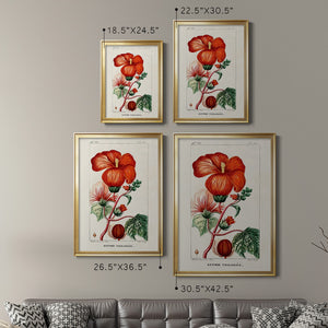 Turpin Tropical Botanicals VII Premium Framed Print - Ready to Hang