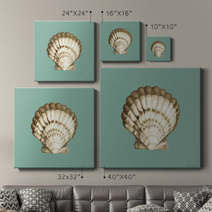 Shell on Aqua III-Premium Gallery Wrapped Canvas - Ready to Hang