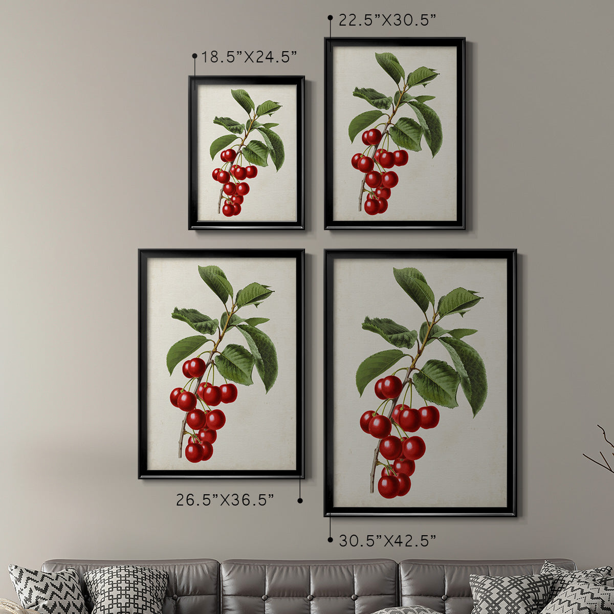 Antique Fruit II Premium Framed Print - Ready to Hang