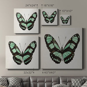 Mint Butterfly II-Premium Gallery Wrapped Canvas - Ready to Hang