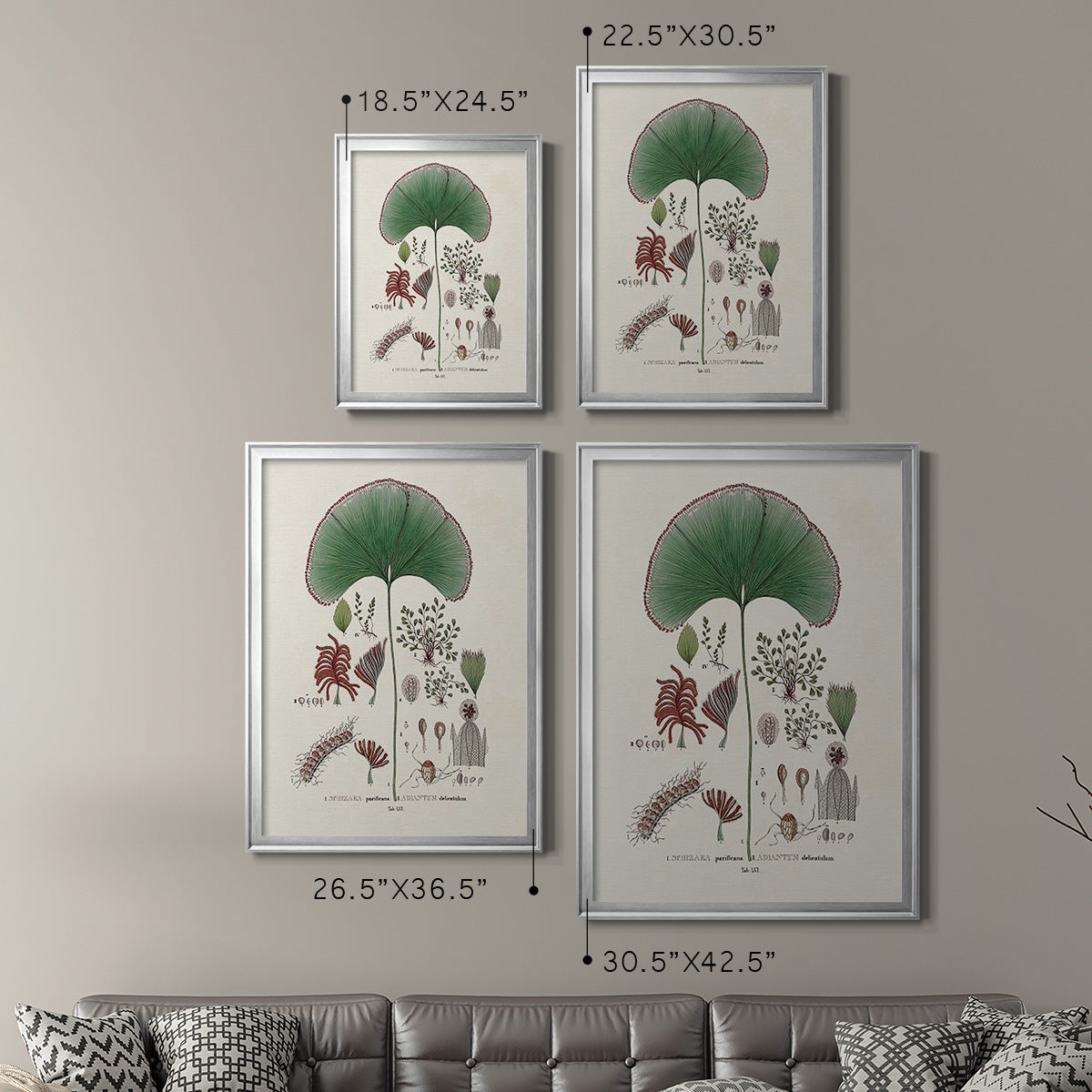 Botanical Society Ferns III Premium Framed Print - Ready to Hang